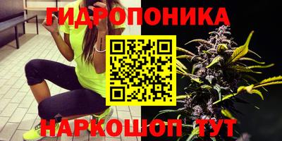 круглые Ефремов